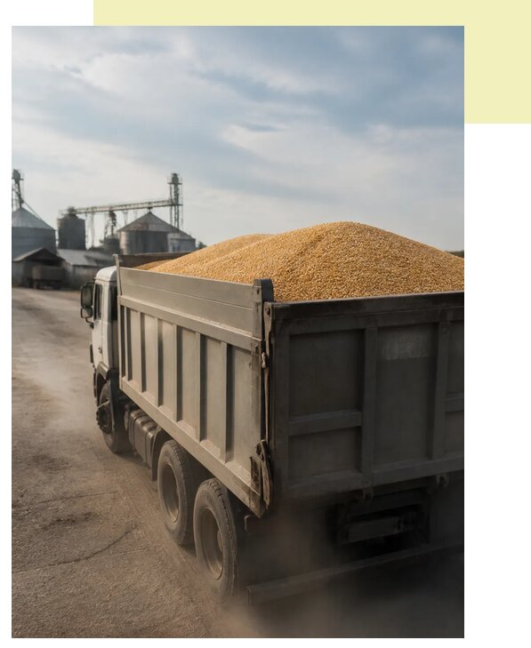 Перевозка сельхозпродукции навалом в Узловую по цене от 3056 р. | Агросервис-Злв