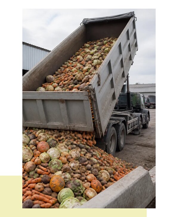 Перевозка овощей навалом с доставкой автотранспортом в Узловую